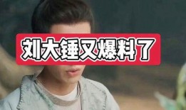 刘大锤之前爆料谁了呀视频,揭秘娱乐圈惊人内幕！